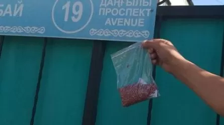 Алматыда дератизация аясында 20 гектардан астам аумақ дәріленеді