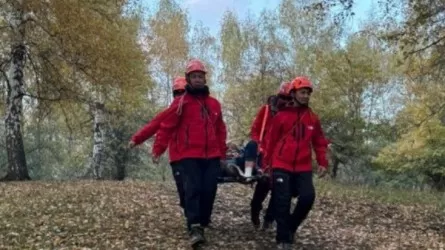 Туристка получила травму в горах Алматы и не смогла спуститься вниз