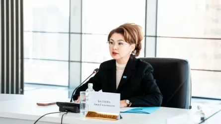   Аида Балаева обсудила с НПО направления дальнейшего сотрудничества 