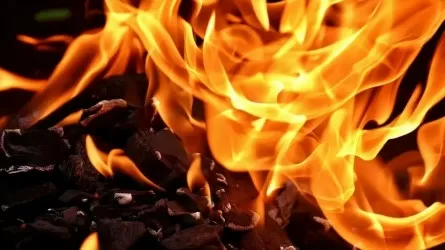 Как спасали от огня дом в Акмолинской области