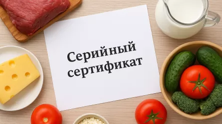 Казахстанские экспортеры смогут и дальше оформлять "серийные сертификаты" 