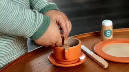 Как готовить еду или лечить людей, научат казахстанских дошколят 