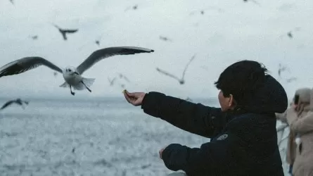 Каспий активно мелеет: назван уровень воды до 2050 года