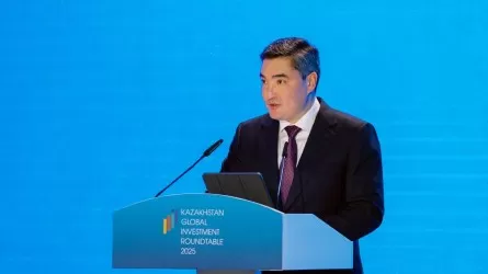 Жаһандық инвестиция: Қазақстанда қандай зауыттар салынып жатыр   