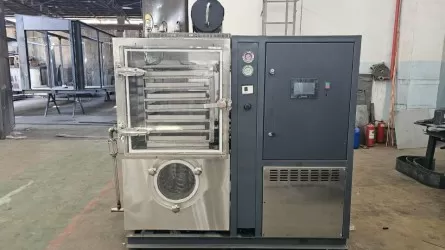 Казахстанские ученые создали установку для переработки кумыса 