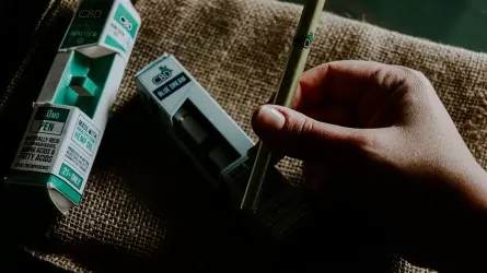 Россия столкнулась с дефицитом вейпов на фоне борьбы с серым импортом в Казахстане 