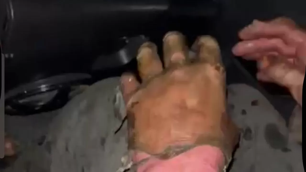Охранник спас водителя из горящего грузовика в области Абай  