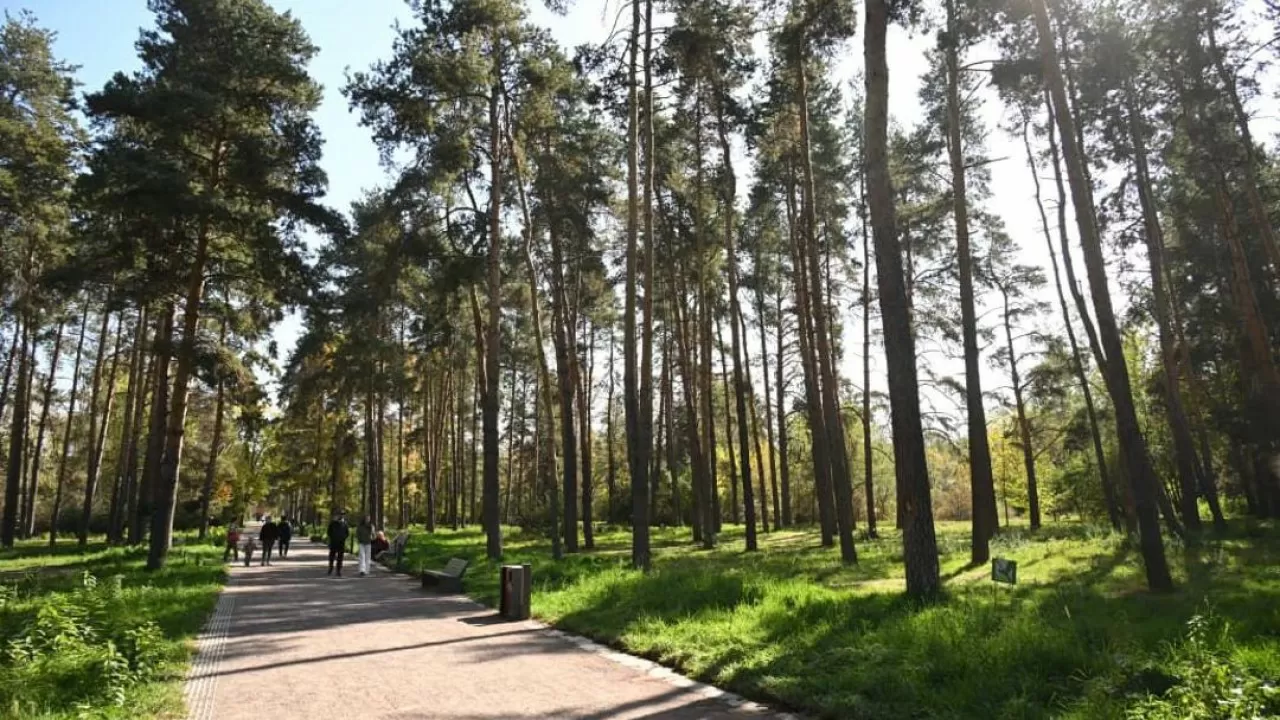 Секрет Алматы: как Розыбакиева превращается в новую зеленую артерию города