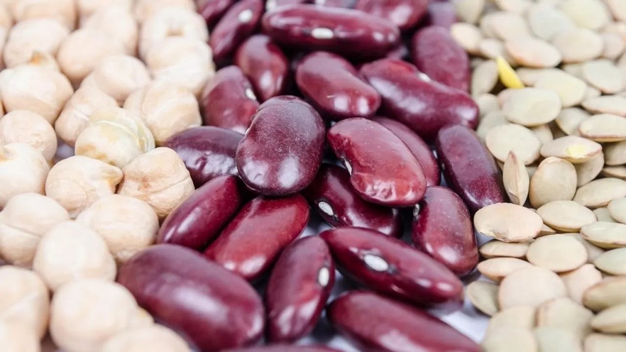 В минсельхозе Казахстана заявили о рекордном урожае бобовых и масличных культур