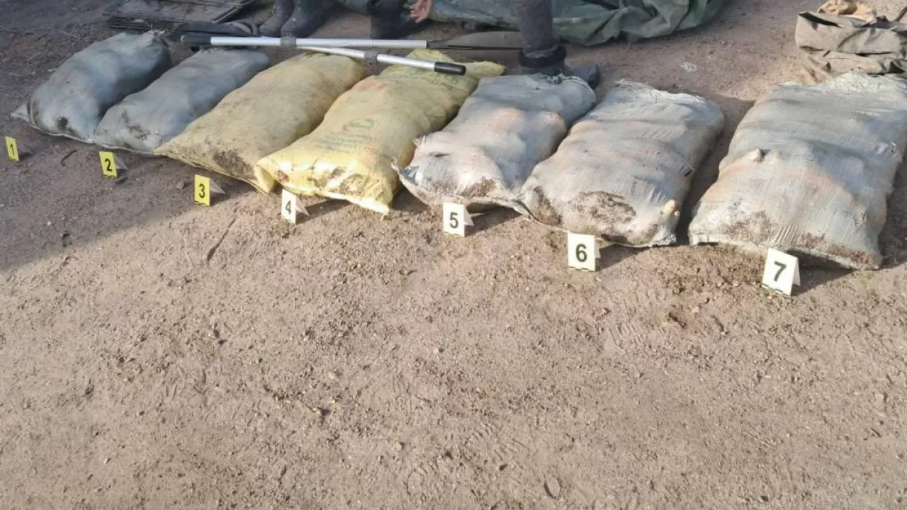 Браконьеров с несколькими мешками отборной рыбы задержали в Павлодарской области  