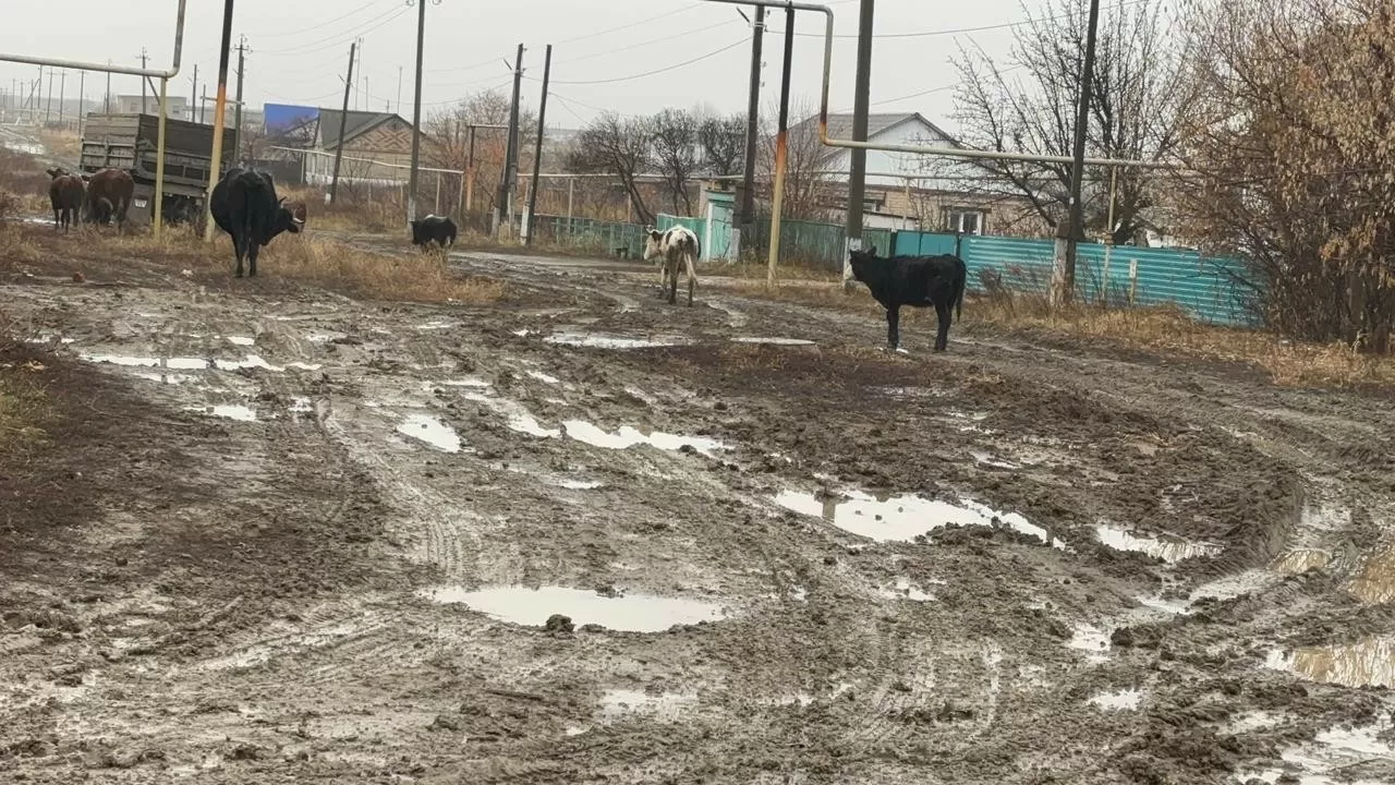 Три года стройки водопровода превратили костанайское село в болото