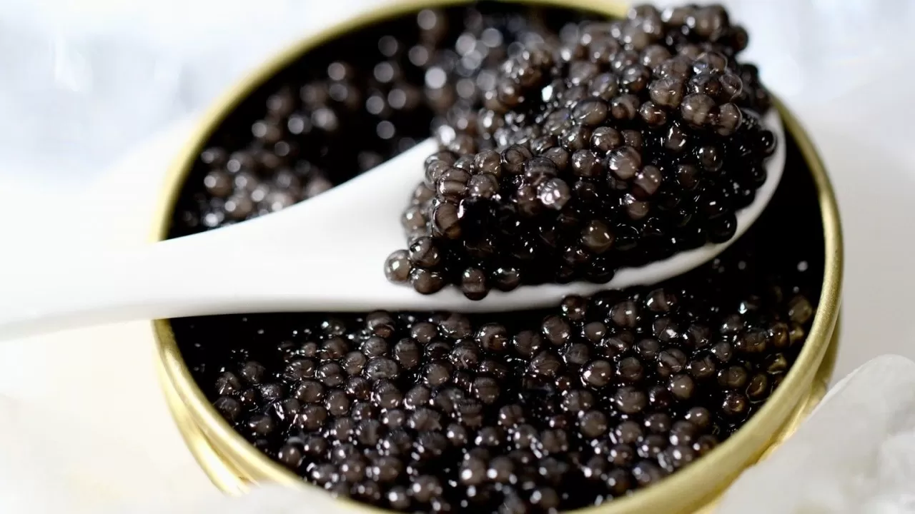 Правила маркировки икры осетровых утвердили в Казахстане