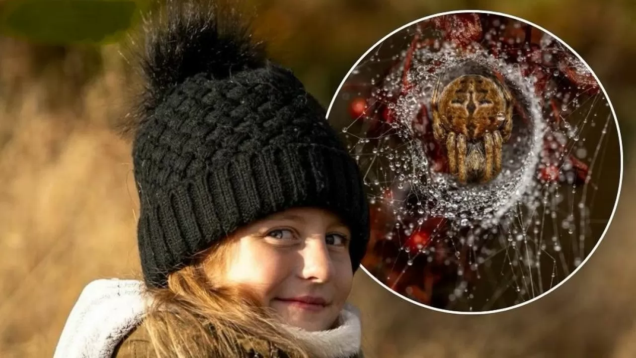 Детский снимок паука покорил жюри престижного фотоконкурса в Лондоне 