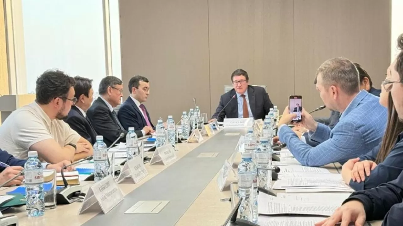 Для первой АЭС Казахстана выбрали официальное название