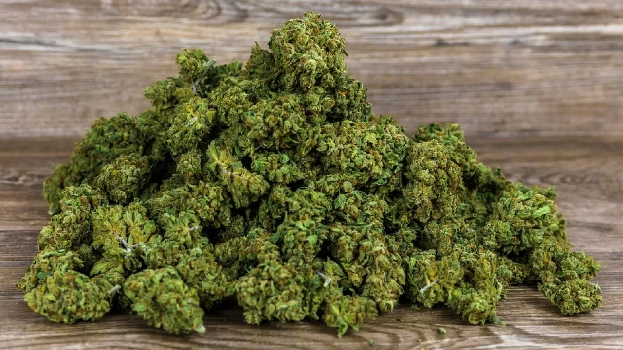 Полиция ликвидировала онлайн-магазин по продаже наркотиков в Карагандинской области 