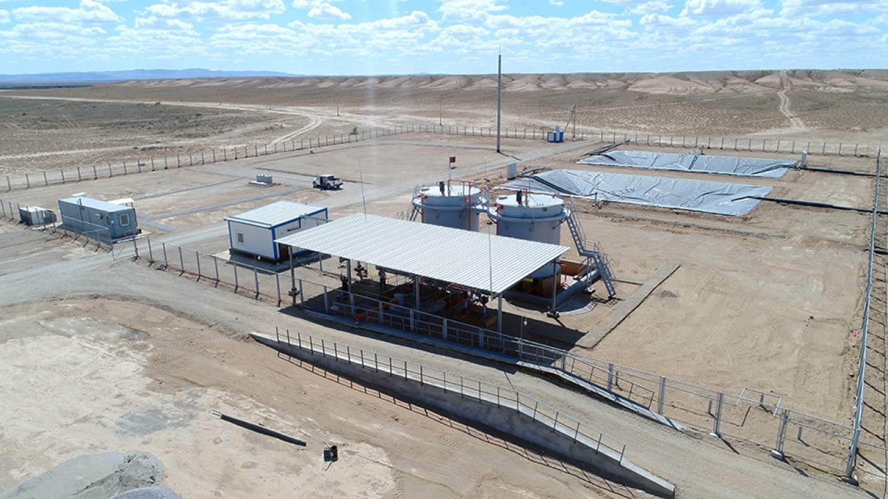 Қалыңдық сперматозоидпен жабылған