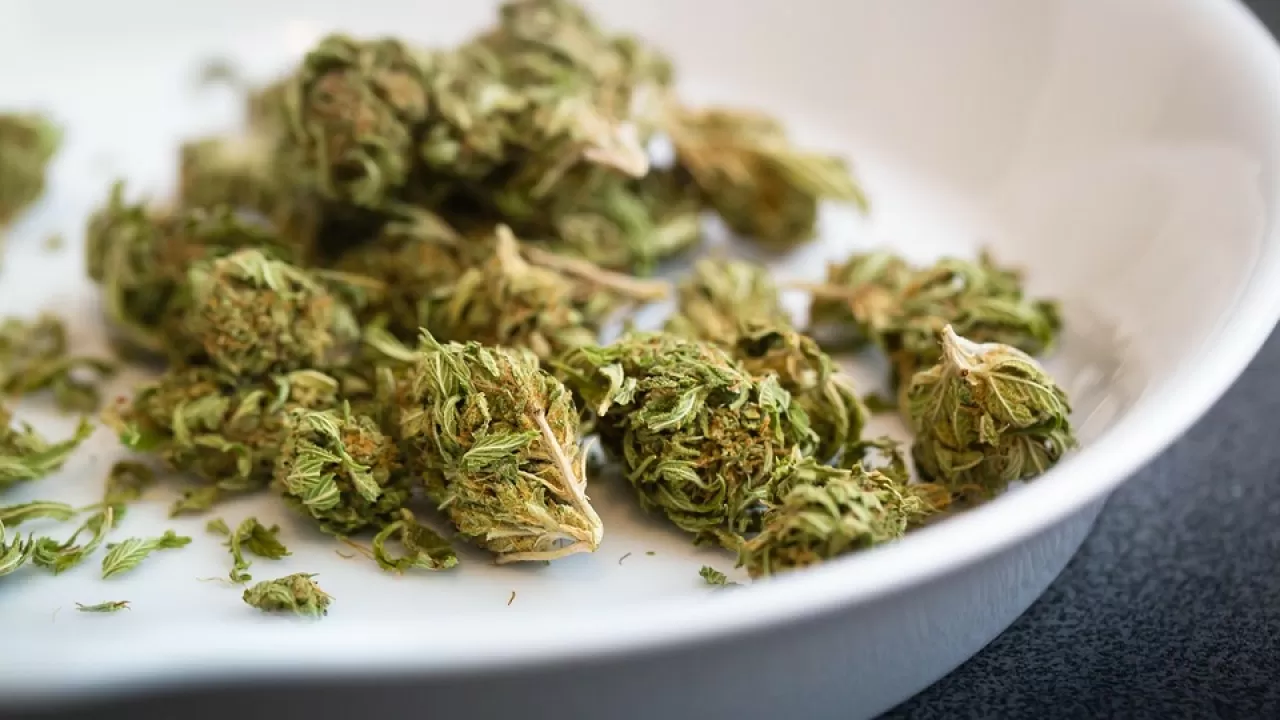 В Астане полицейская собака помогла задержать наркопреступника 