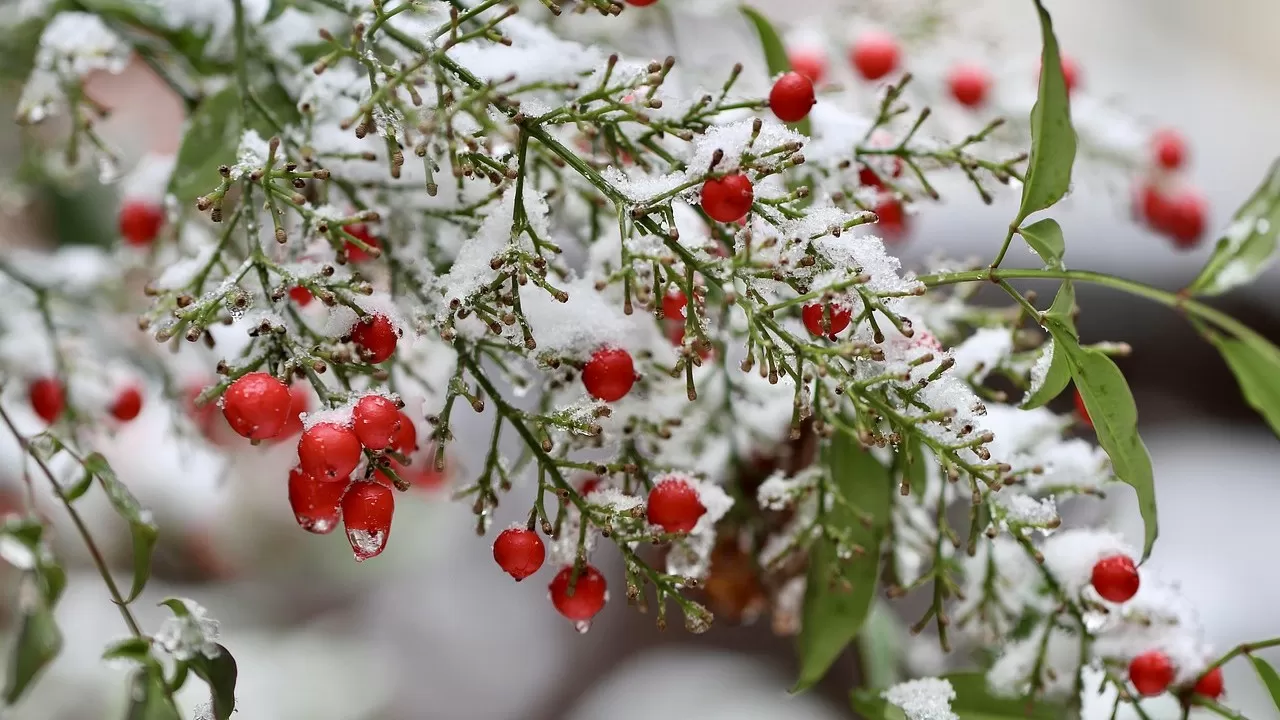 В ряде областей Казахстана ожидаются густой туман и усиление ветра