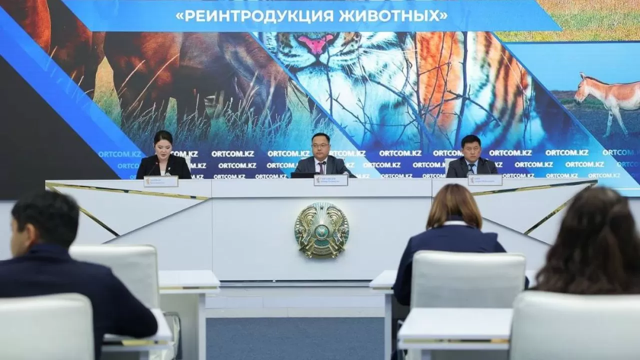 Казахстан возвращает редких животных в природу 