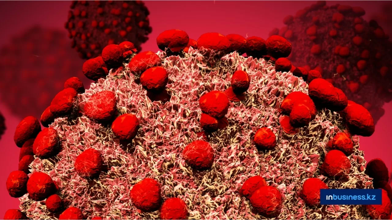 В соседней стране нашли более 60 ранее неизвестных вирусов 