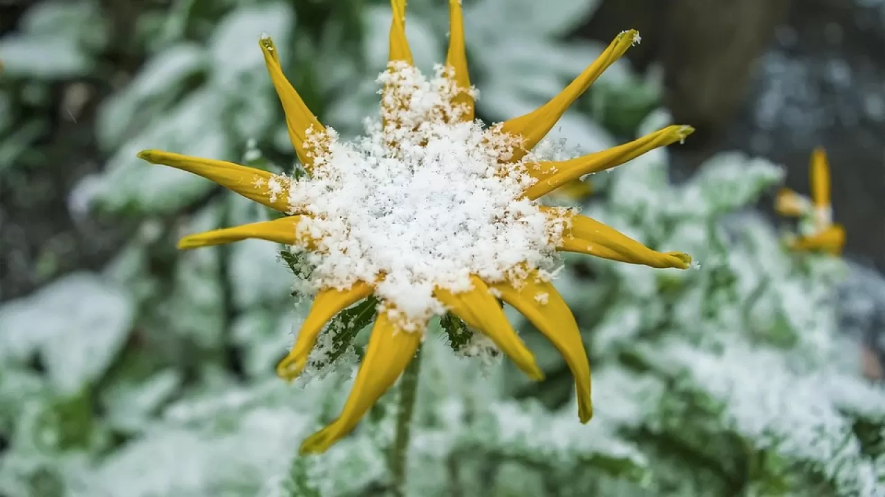 Штормовое предупреждение: туман, местами гололед прогнозируют в РК  