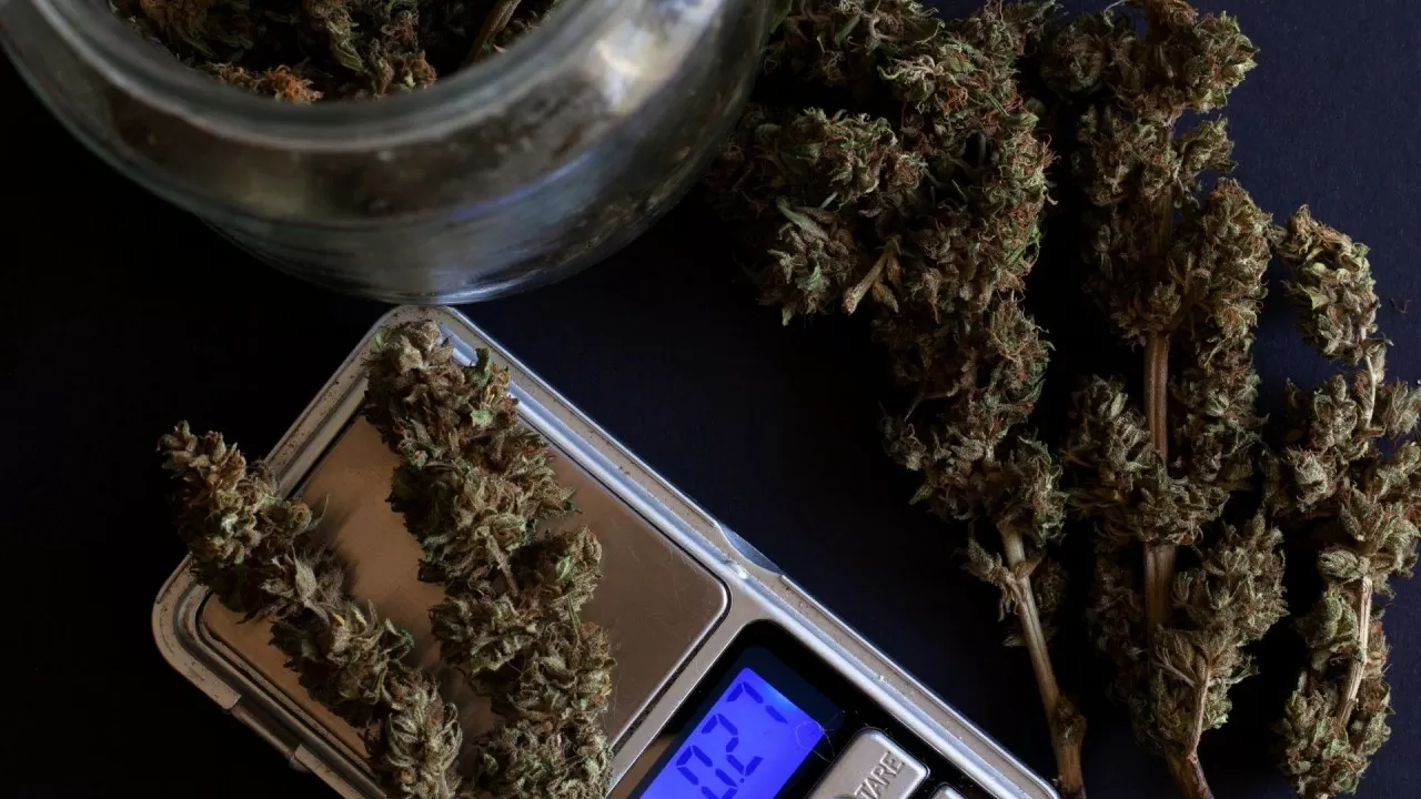 Ақмола облысында жерасты есірткі зертханасын ұйымдастырғандар сотталды