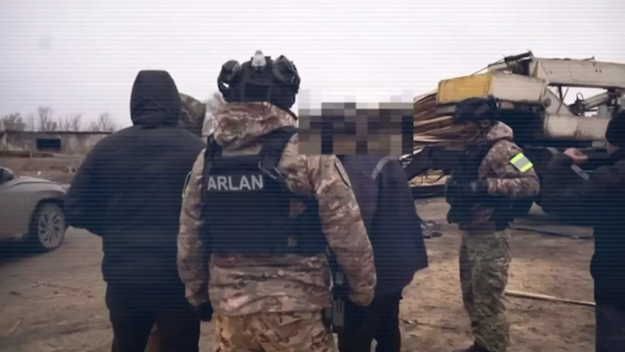 Қостанай облысында орман ағаштарын заңсыз кескендер ұсталды  