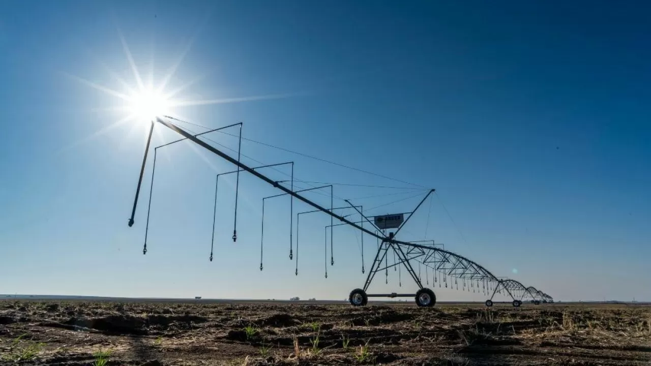 Жетісу облысында жаңбырлатып суару жүйесі қолға алынды