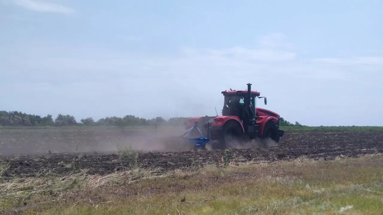 Казахстанские фермеры массово продают свой бизнес