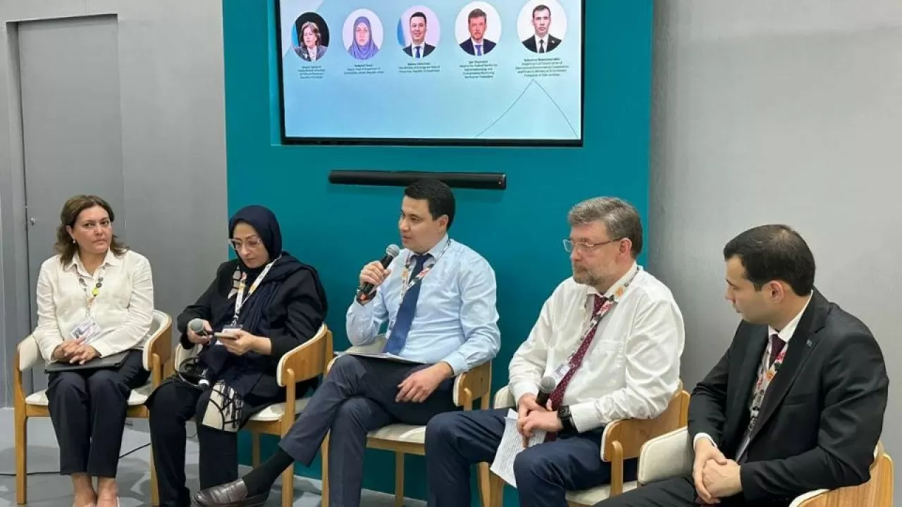 Казахстан предложил программу сохранения Каспийского моря 