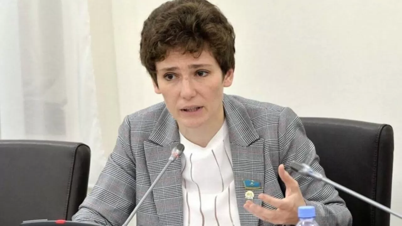 Мәжіліс депутаты Цифрлық кодекстің ерекшелігін түсіндірді