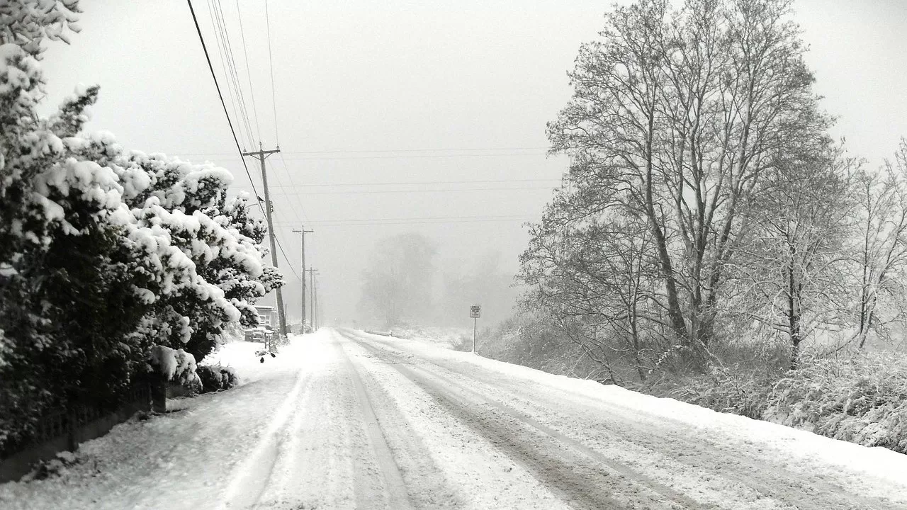 Гололед, туман и метель ожидаются в разных регионах Казахстана 