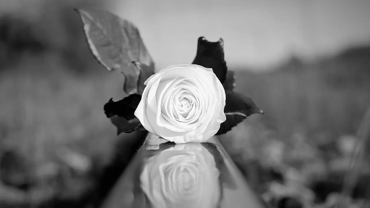 На железной дороге РК выросло количество наездов на людей 