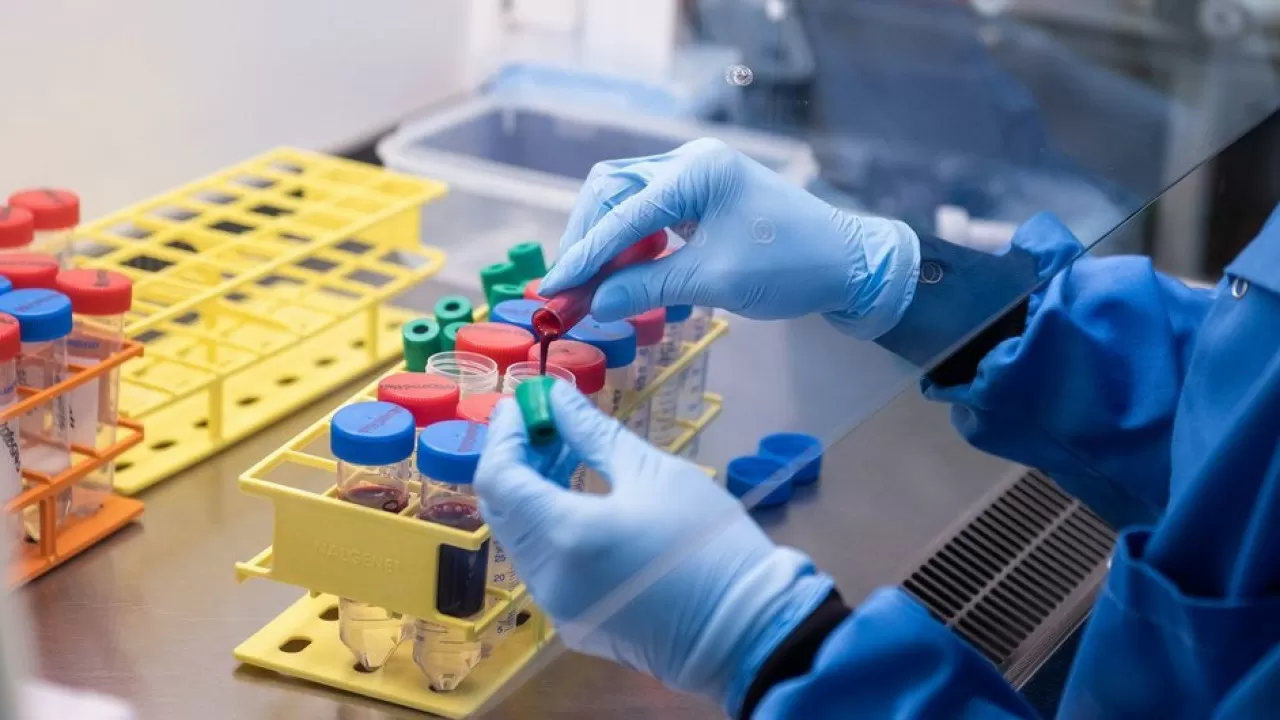 Еуропа елдері қаупі өте қатты инфекциямен бетпе-бет келді