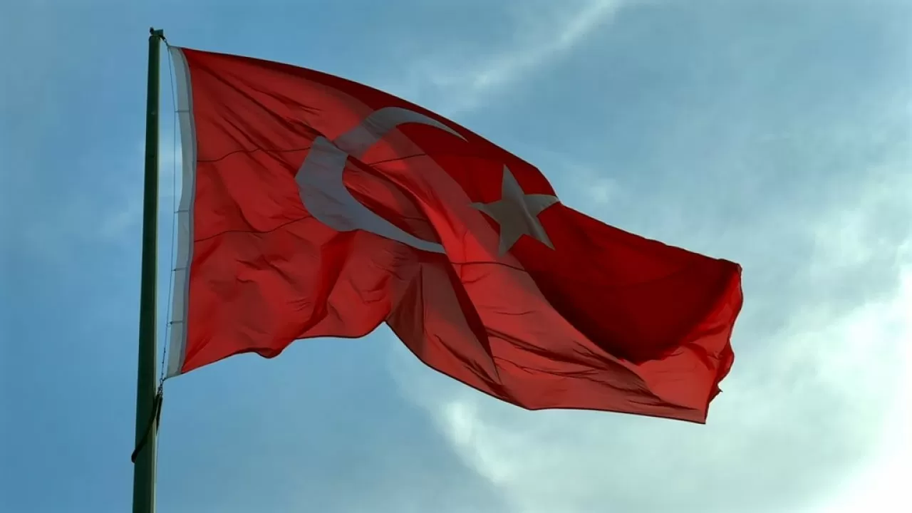 Турецкая лира упала до исторического минимума