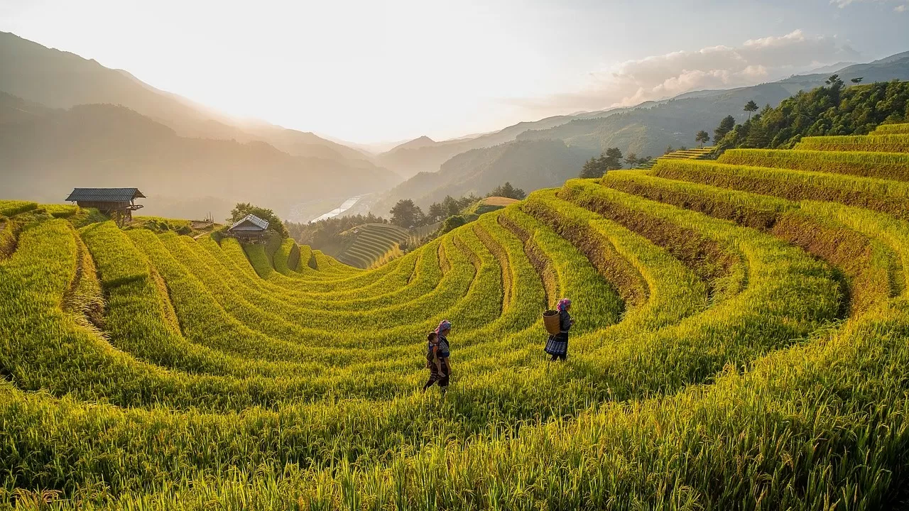 В Чили второй тур выборов президента: коммунистка против ультраправого 