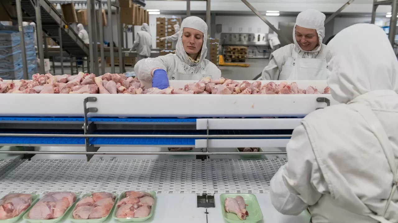 Құс етінің 21%-ы елімізге сырттан жеткізіледі 