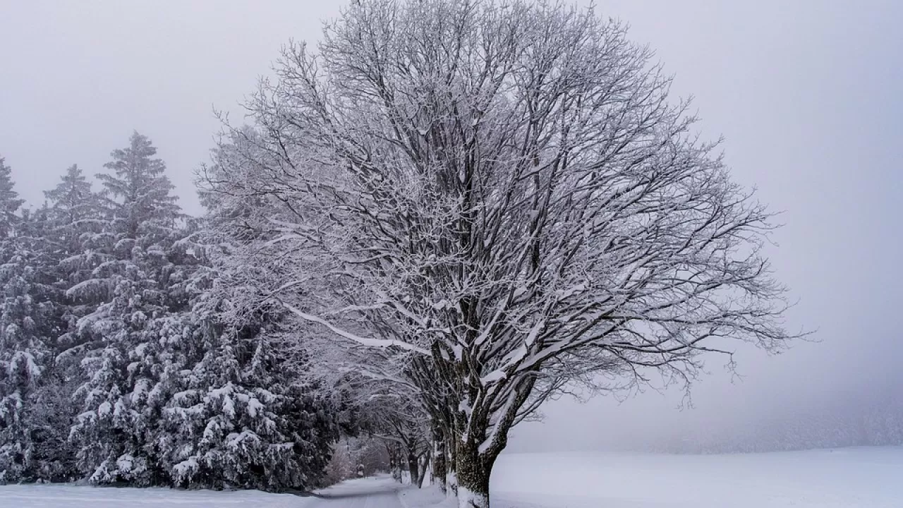 Зима в Казахстане ожидается умеренно теплая 