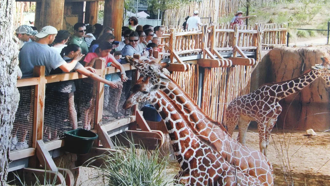 Алматы зообағы жаңғыртудан өтеді