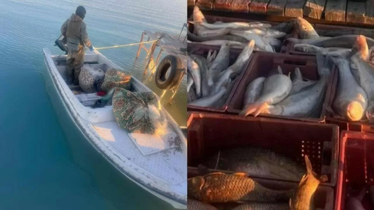 На Балхаше задержаны браконьеры с крупным уловом 