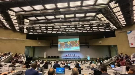 Kazakhstan participates in the Conference of the Parties to the WHO Framework Convention on Tobacco Control