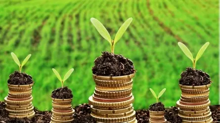 Долг в 341 млд тенге: почему акиматы не могут платить фермерам, и вмешивается правительство