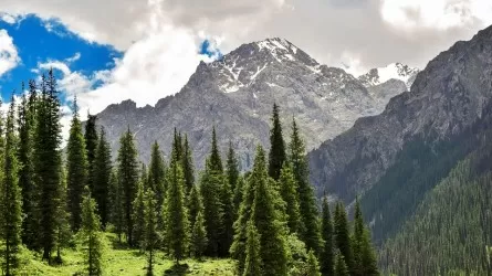 Казахстан представил туринициативы в Китае 