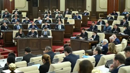 Қазақстанның әлемдік ТОП-15-ке кіруі депутаттарды алаңдатты