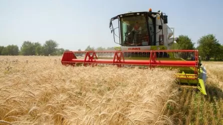 Казахстан завершил сбор урожая: минсельхоз заявляет о рекорде