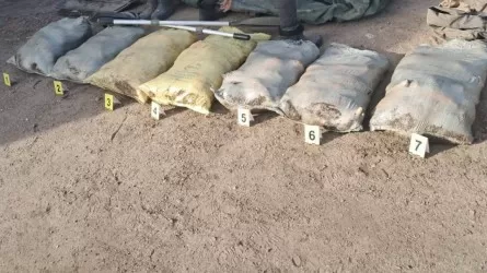 Браконьеров с несколькими мешками отборной рыбы задержали в Павлодарской области  