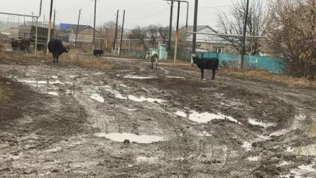 Три года стройки водопровода превратили костанайское село в болото