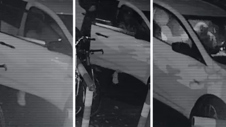 Интернеттен «Қазақстанда адам өлтіргенге қандай жаза бар?» деп іздеген: Полиция Янаның өлімін қалай ашты?