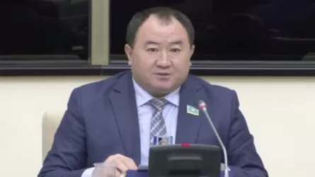 «Ажырасу, қарызға бату»: Сенатор жалған коучтарға сенген халықтың зардап шегіп жатқанын айтты