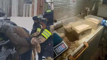 Тонну прекурсоров и десятки килограммов наркотиков нашли в Караганде  
